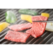 【夏の贈り物】蔵王牛希少部位焼肉　2140005040　直送品