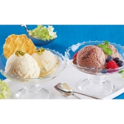 【夏の贈り物】ホテルオークラ　アイスクリーム詰合せ　ICE-10　直送品