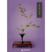 万葉　あしがき