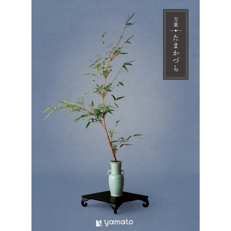 万葉 たまかづら