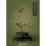 万葉　つゆしも