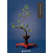 万葉　あさぎり