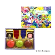 【バレンタイン】[ダロワイヨ]ショコラニャカロン詰め合わせドゥ