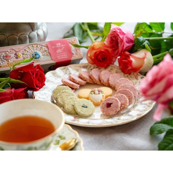 鳩モチーフ調味料入れセット　生活の木　　　 　　バラ不可 鳩モチーフ調味料入れセット 生活の木 バラ不可 鳩モチーフ調味料入れ