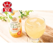 山田養蜂場　国産はちみつスカッシュ　HS10-30