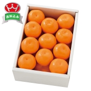 築地定松　ハウスみかん　SHM1　直送品
