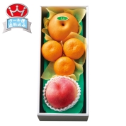 新宿高野　夏果実旬果A　52221　直送品