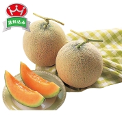 北海道産　富良野メロン　F-9　直送品
