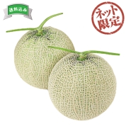 【ネット限定】JA茨城旭村　茨城県産　アールスメロン　直送品