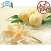 【ネット限定】岡山県産　岡山白桃5個　OH-5　直送品