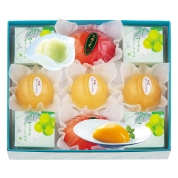 宗家 源 吉兆庵　源 吉兆庵の夏菓撰　ON-30