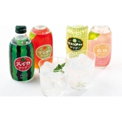 友桝飲料　果実サイダー16本入ギフト　KAG-30
