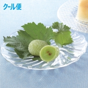 宗家 源 吉兆庵　陸乃宝珠12個入　MR-12