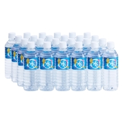 【ご自宅用限定品】龍泉洞の水500ml