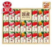 カゴメ　国産100%フルーツジュース〈紙容器〉　KT-50T
