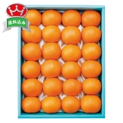 銀座千疋屋　温州みかん　直送品