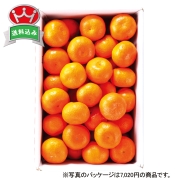 新宿高野　みかん　51200　直送品
