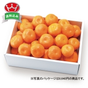 築地定松　定松セレクトみかん2.5kg　直送品