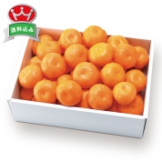 築地定松　定松セレクトみかん5kg　直送品