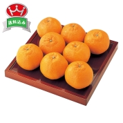 熊本県産　ハウスデコポン　直送品