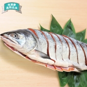 野尻正武商店　知床新巻鮭姿切り1.7kg　A-90　直送品