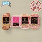 【ネット限定】マイスター山野井　炭火山野井焼豚とハムセット YE40　直送品