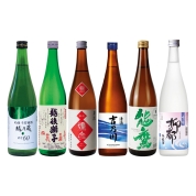 【ご自宅用限定品】新潟県内地酒めぐり　6本セット