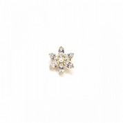 [マリコ]エリトメールマーキスフラワー（ゴールドカラー）