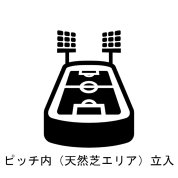 【味の素スタジアム 貸切りフォトウエディング】オプション ピッチ内(天然芝エリア)立入【時間：10分】