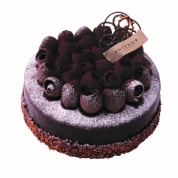 【新宿店お渡し】［アンテノール］ガナッシュ・ショコラ18cm