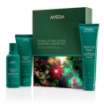 [アヴェダ]ボタニカル リペア ストレングス エッセンシャル ギフト