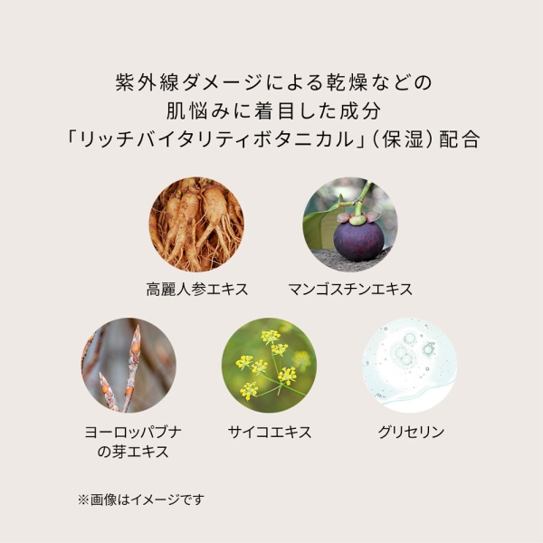 クレ・ド・ポー ボーテ]クレ・ド・ポー ボーテ クレームUVnキット