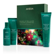 【店舗お渡し】[アヴェダ]ボタニカル リペア ストレングス エッセンシャル ギフト