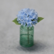 (7)Miniature Rosy アジサイ