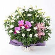 [フローレット]供花アレンジメント「和」（L）