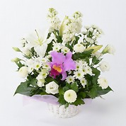 [フローレット]供花アレンジメント「洋」（S）