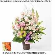 おまかせアレンジメント「FLORET」（LL）【オレンジ】