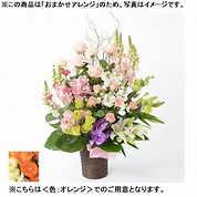[フローレット]おまかせアレンジメント「FLORET」（LL）【オレンジ】