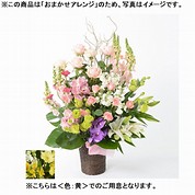 おまかせアレンジメント「FLORET」（LL）【黄】