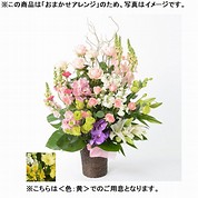 [フローレット]おまかせアレンジメント「FLORET」（LL）【黄】