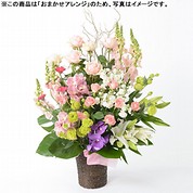 [フローレット]おまかせアレンジメント「FLORET」（LL）【ピンク】