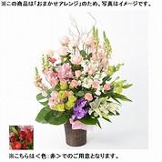 [フローレット]おまかせアレンジメント「FLORET」（LL）【赤】