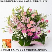 [フローレット]おまかせアレンジメント「FLORET」（L）【オレンジ】