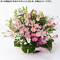 おまかせアレンジメント「FLORET」（L）【ピンク】