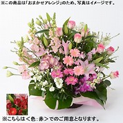 [フローレット]おまかせアレンジメント「FLORET」（L）【赤】