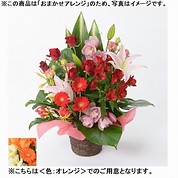 [フローレット]おまかせアレンジメント「FLORET」（M）【オレンジ】