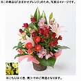 おまかせアレンジメント「FLORET」（M）【黄】