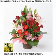 [フローレット]おまかせアレンジメント「FLORET」（M）【黄】