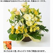 おまかせアレンジメント「FLORET」（S）【オレンジ】