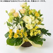 [フローレット]おまかせアレンジメント「FLORET」（S）【黄】